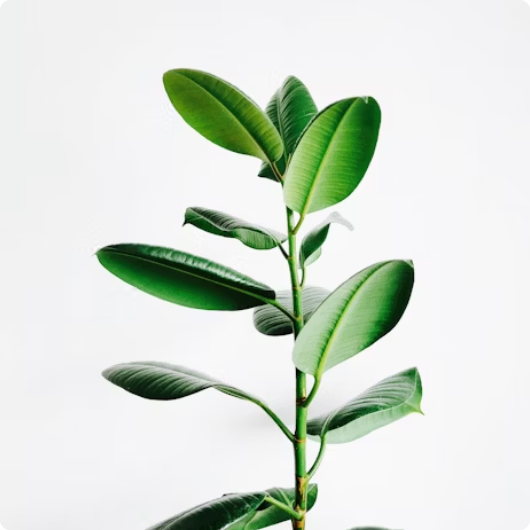 a-tree