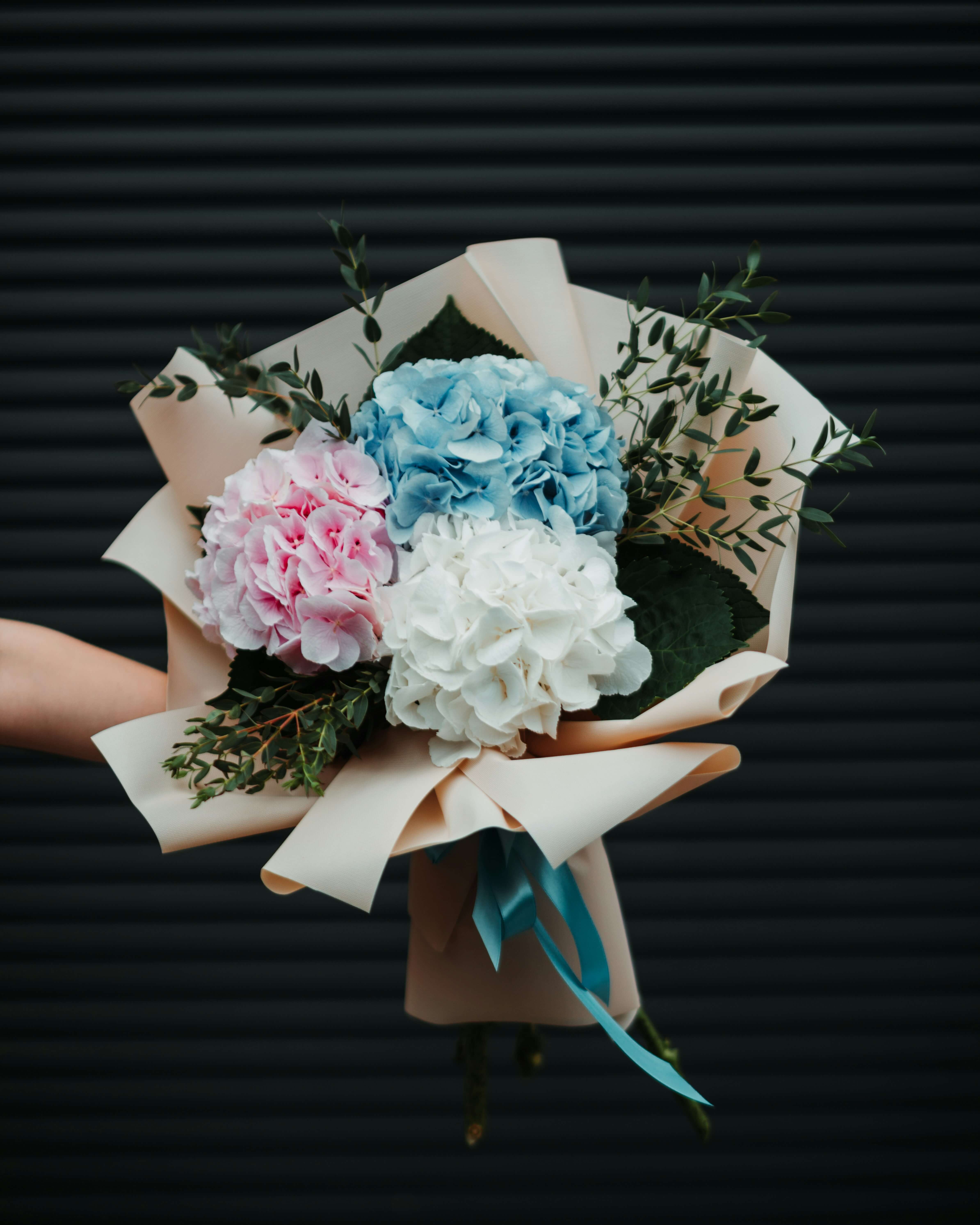 Hydrangea Flower