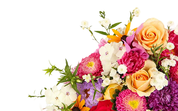 Hero Section Flower